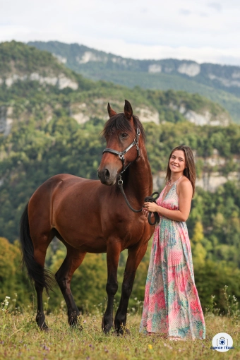Photography, Pets, Traditional, Lifestyle