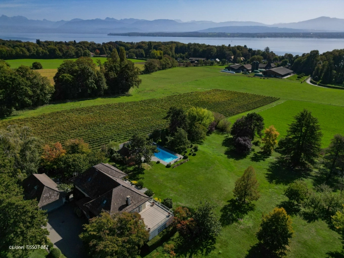Photography, Drone Photography, Real estate & Architectural, Corporate, Aerial, Traditional