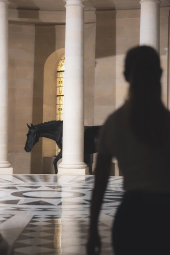 Photographie, Retouche photo, Mode/Book, Traditionnel