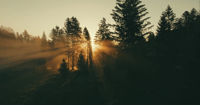 Photographie, Retouche photo, Drone, Nature, Traditionnel