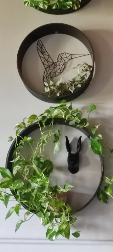 Photographie, Visite virtuelle, Architecture d'intérieur / Décoration, Traditionnel