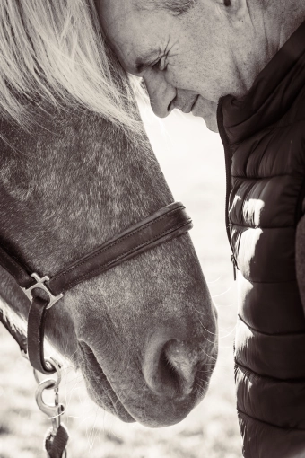 Photographie, Retouche photo, Animal de compagnie, Traditionnel, Lifestyle