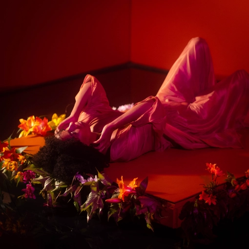 Vidéo et montage, Nu / Artistique, Artistique