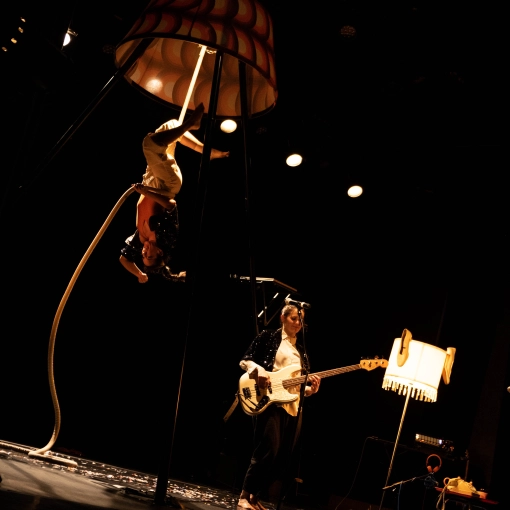 Evènement, Concert/Spectacle