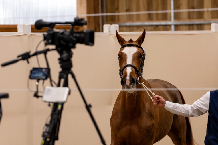 Photographie, Corporate, Traditionnel, Lifestyle