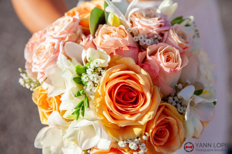 Photographie, Retouche photo, Mariage, Artistique, Traditionnel