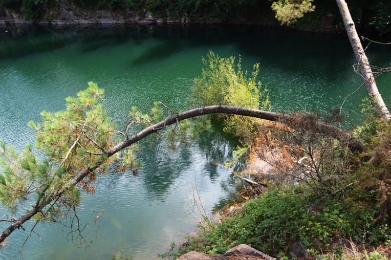 Photographie, Retouche photo, Nature, Artistique, Lifestyle