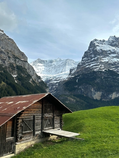 Photographie, Retouche photo, Nature, Artistique