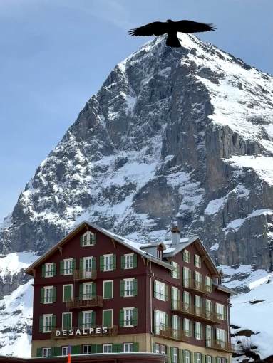 Photographie, Retouche photo, Nature, Artistique