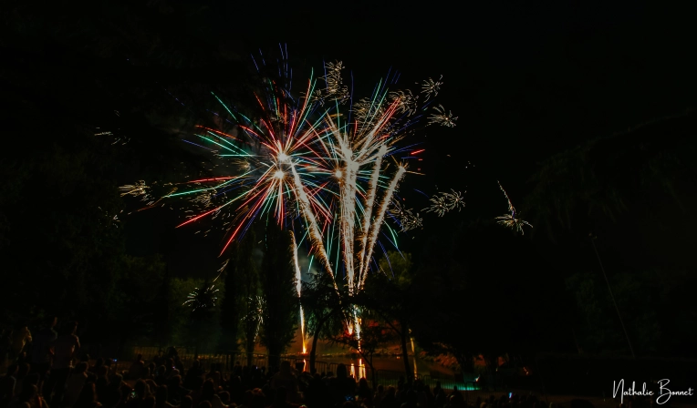 Photographie, Evènement, Concert/Spectacle, Artistique, Traditionnel
