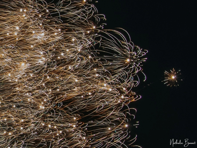 Photographie, Evènement, Concert/Spectacle, Artistique, Traditionnel