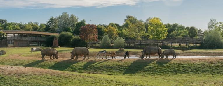 Photographie, Nature, Traditionnel