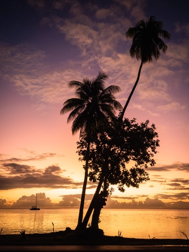 Photographie, Retouche photo, Nature, Traditionnel