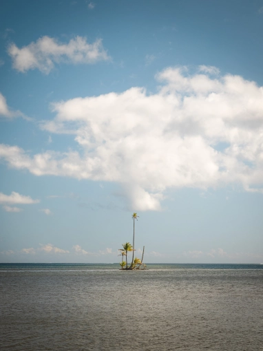 Photographie, Retouche photo, Nature, Artistique