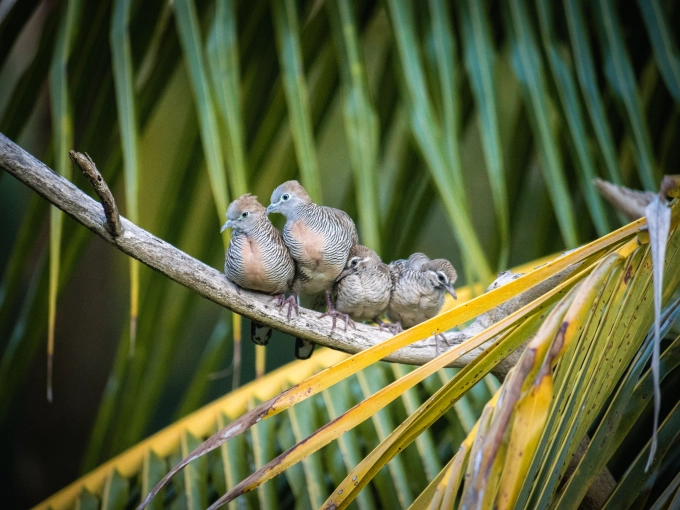 Photographie, Retouche photo, Nature, Traditionnel