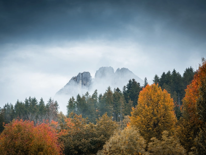 Photographie, Retouche photo, Nature, Traditionnel