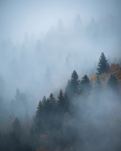 Photographie, Retouche photo, Nature, Artistique, Traditionnel