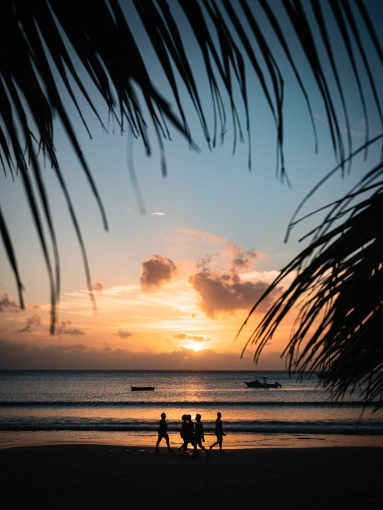 Photographie, Retouche photo, Nature, Artistique, Traditionnel