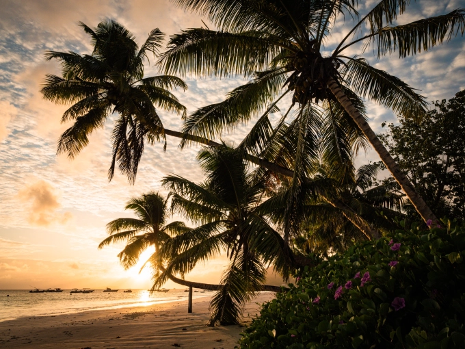Photographie, Retouche photo, Nature, Traditionnel