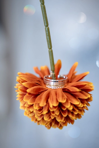 Photographie, Mariage, Artistique, Traditionnel