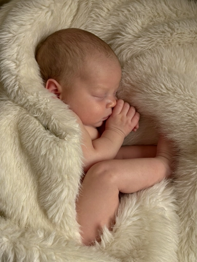 Photographie, Naissance, Traditionnel