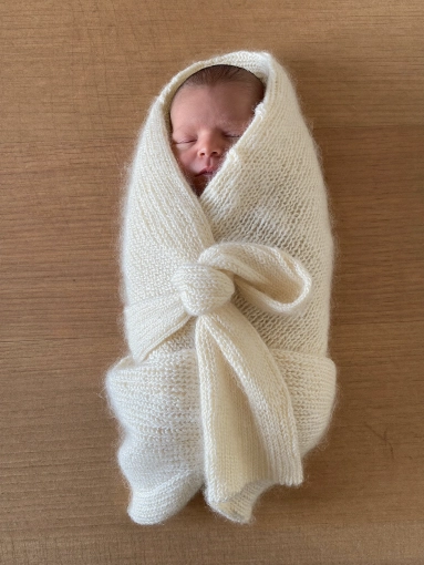 Photographie, Naissance, Traditionnel