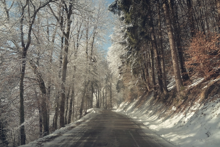 Photography, Nature, Artistic, Traditional, Vintage, Lifestyle