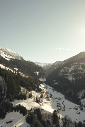 Photography, Nature, Artistic, Traditional, Vintage, Lifestyle