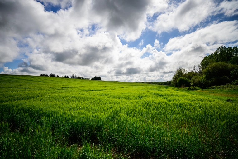 Photographie, Nature