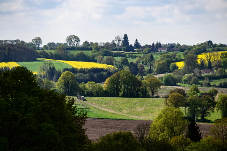 Photographie, Nature