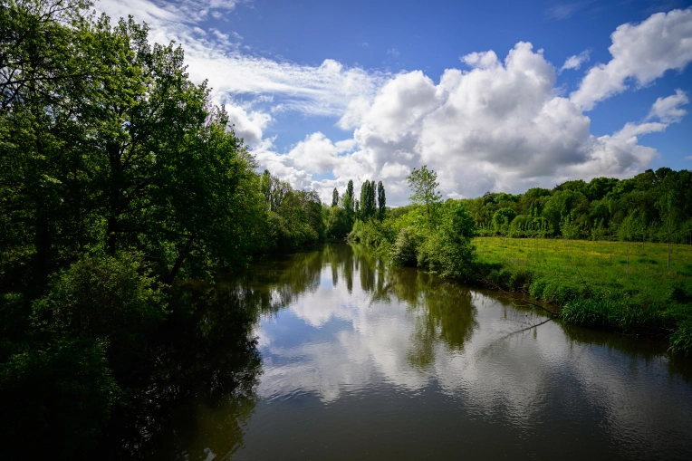 Photographie, Nature