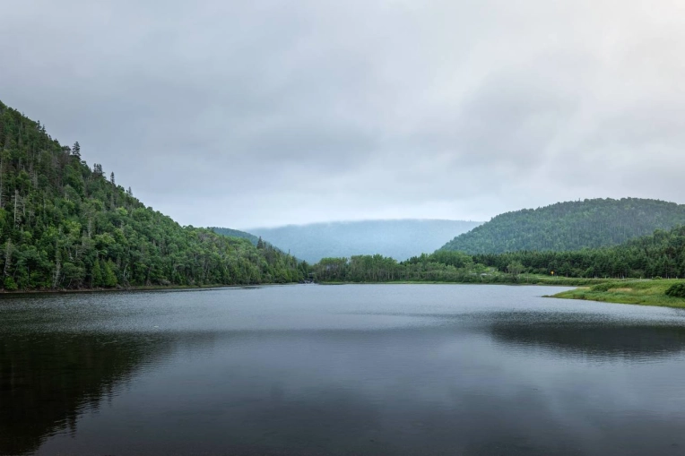 Photographie, Retouche photo, Nature, Traditionnel, Vintage
