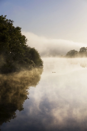 Photographie, Nature, Artistique, Traditionnel, Vintage