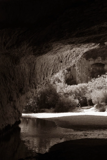 Photographie, Nature, Artistique, Vintage