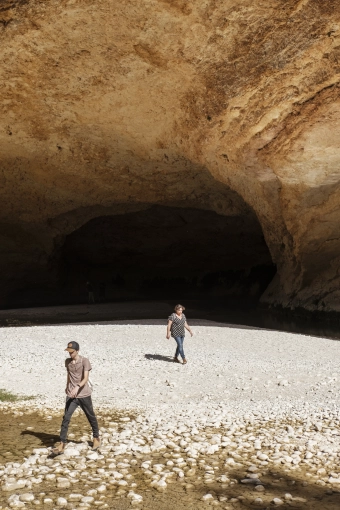 Photographie, Nature, Artistique, Vintage