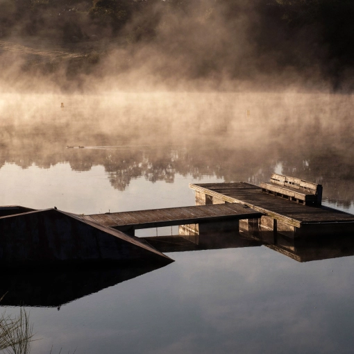 Photographie, Nature, Artistique, Traditionnel, Vintage