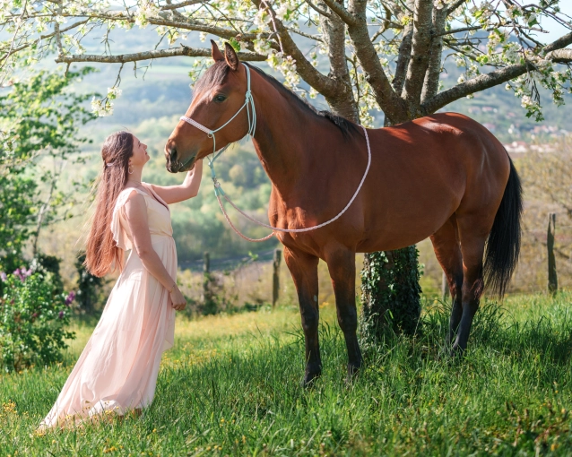 Photographie, Retouche photo, Formation, Cours de Photographie, Animal de compagnie, Traditionnel, Lifestyle