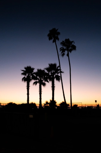 Photographie, Retouche photo, Nature, Artistique