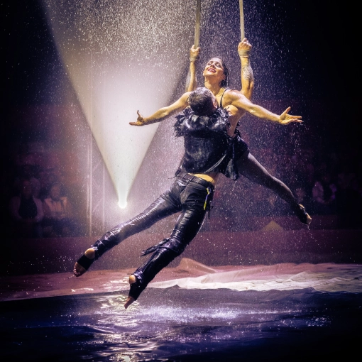 Evènement, Concert/Spectacle, Artistique, Vintage