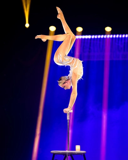 Photographie, Evènement, Concert/Spectacle, Artistique, Traditionnel, Lifestyle