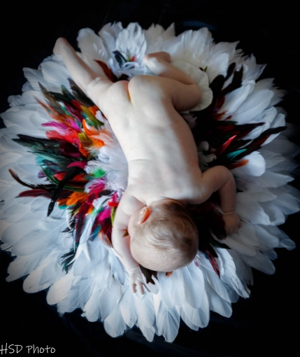 Photographie, Retouche photo, Formation, Cours de Photographie, Naissance, Artistique, Traditionnel, Vintage, Lifestyle