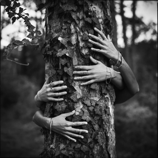 Photographie, Mode/Book, Artistique, Argentique