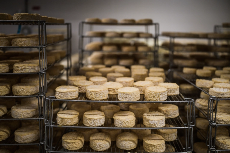 Photographie, Photo produit, Traditionnel