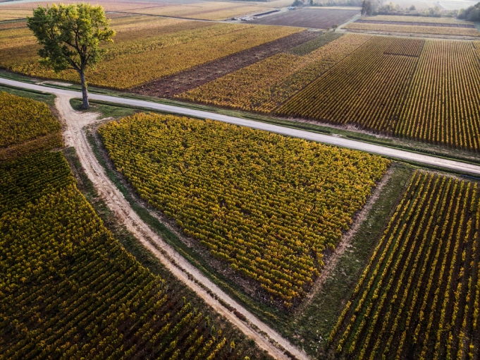 Photographie, Drone, Vue du ciel, Traditionnel