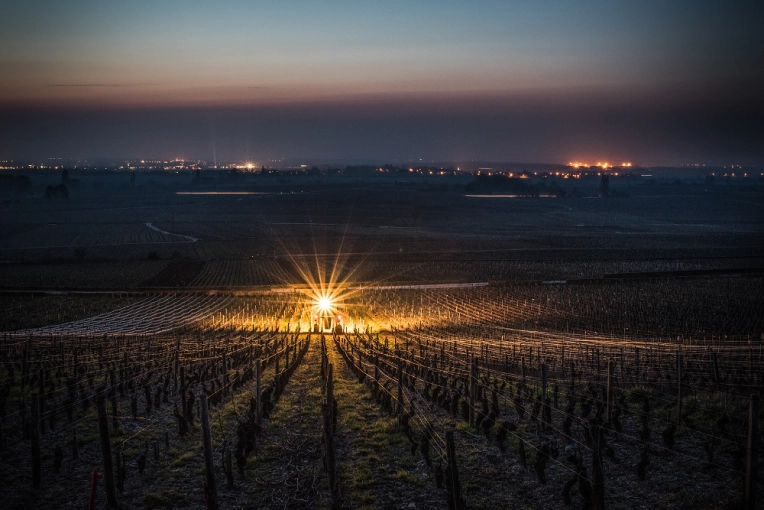 Photographie, Corporate, Traditionnel