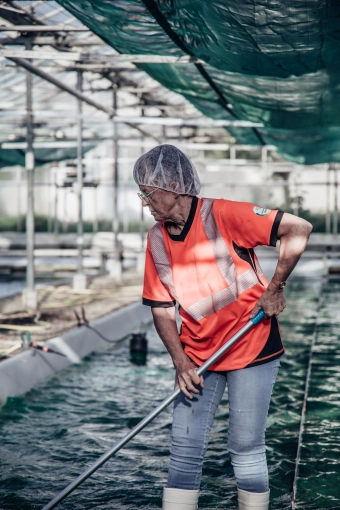 Photographie, Industrielle, Vintage, Lifestyle