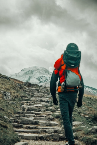 Nature, Vintage, Lifestyle