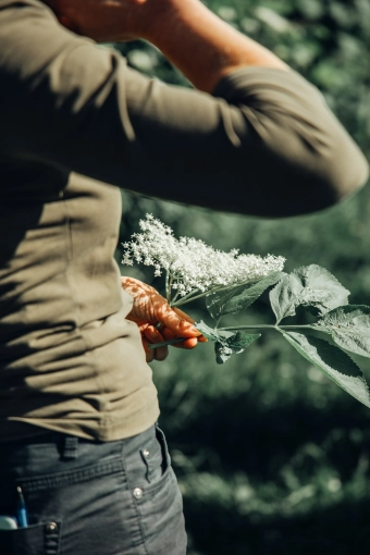 Nature, Vintage, Lifestyle