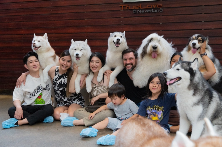 Photographie, Animal de compagnie, Lifestyle