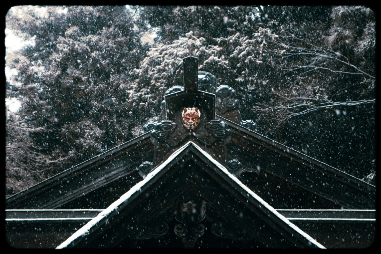 Photographie, Retouche photo, Nature, Artistique, Traditionnel, Lifestyle